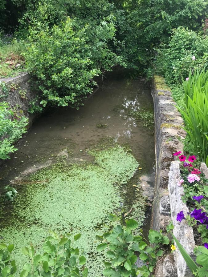 Reveil Aux Chants Des Oiseaux Asse-le-Riboul Exterior photo
